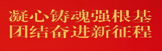 “凝心铸魂强根基、团结奋进新征程”主题教育