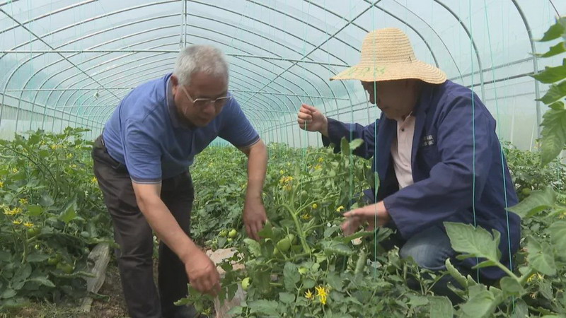 田园梦1_调整大小.jpg
