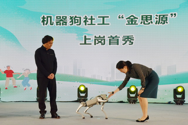 20250411085249.jpg